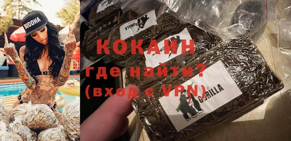 шишки Михайлов