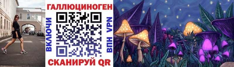 Купить  Ижевск  Псилоцибиновые грибы GOLDEN TEACHER 